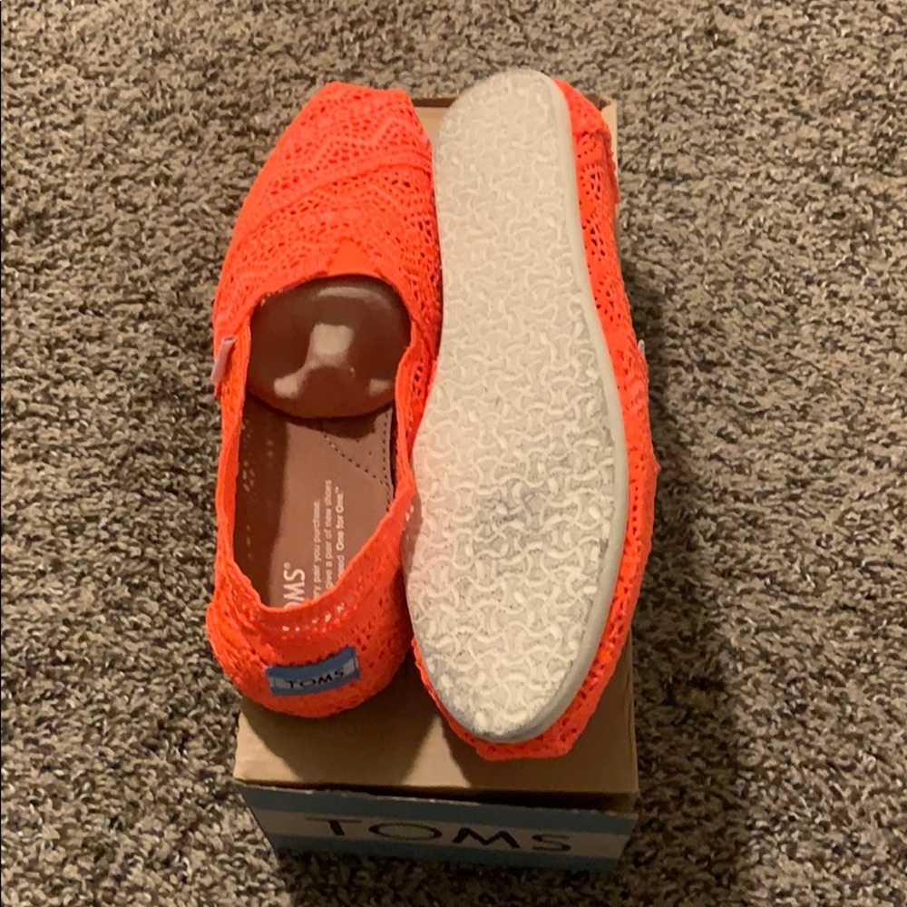 Toms - Picture 5 of 5